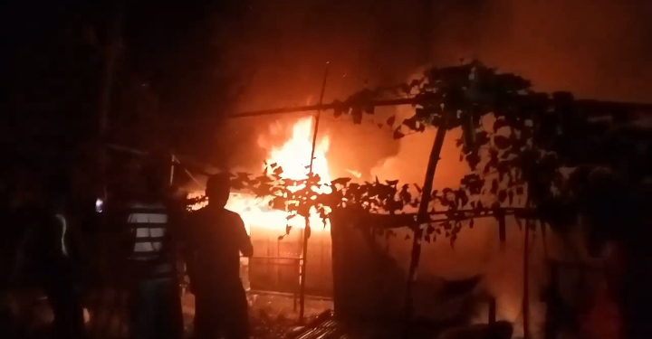 ঘাটাইলে ভয়াবহ অগ্নিকান্ড